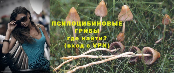 сатива Баксан