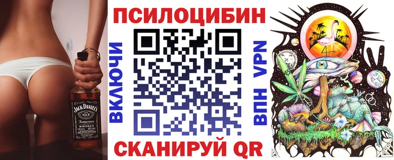 купить закладку  Ногинск  Галлюциногенные грибы Cubensis 
